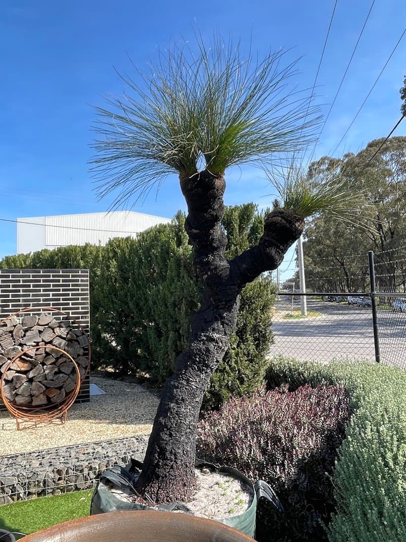 Simon Rosa Landscaping landscaping work in Bendigo