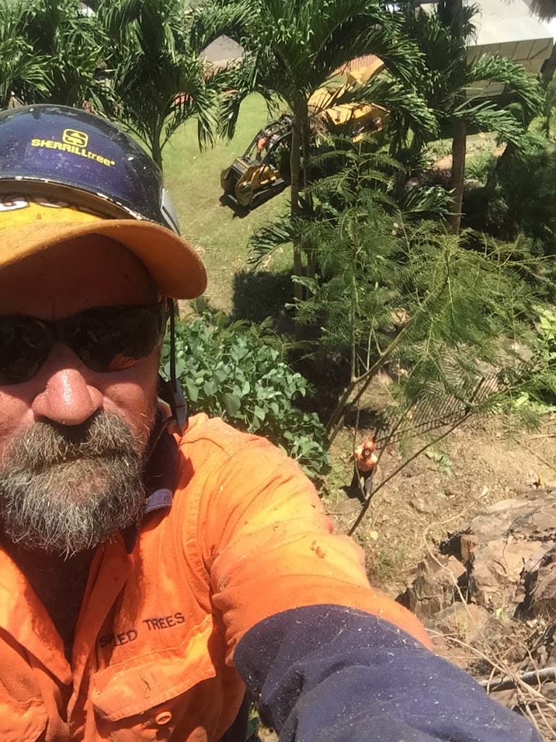 Skilled Trees Services tree services work in Stuart