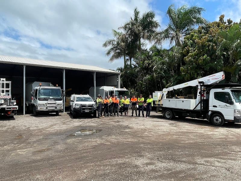 Skilled Trees Services tree services work in Stuart