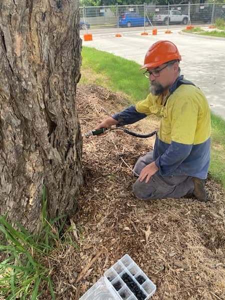 Skilled Trees Services tree services work in Stuart