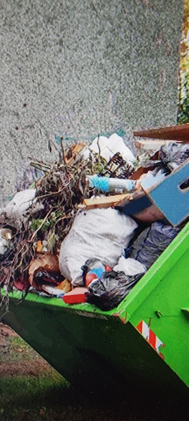 Skippy Bins - Affordable Skip Bin Hire Brisbane rubbish removal work in Pallara