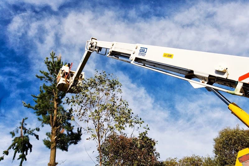 Skyrider Tower Hire Pty Ltd. tree services work in Mitchell Park