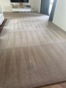 Sl Cleaning Services
