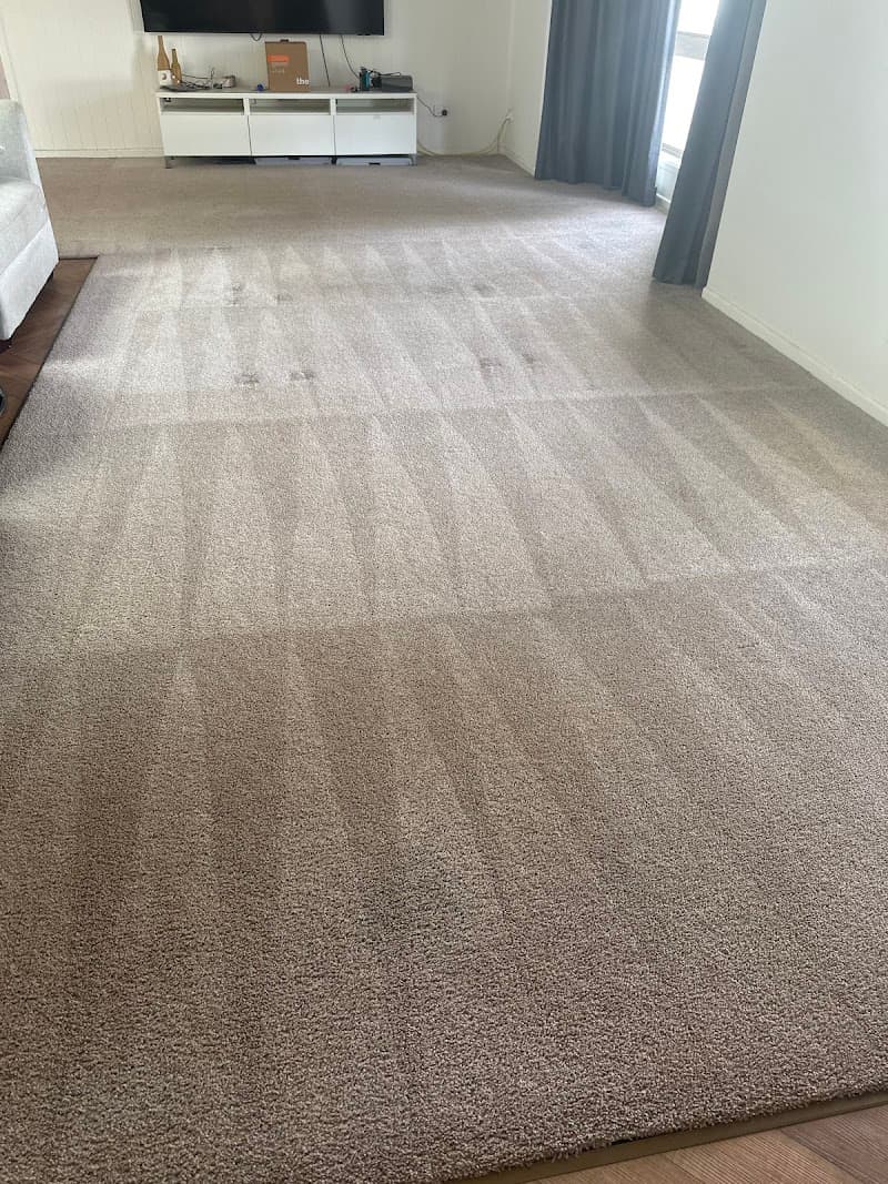 Sl Cleaning Services oven & bbq cleaning work in Logan Reserve