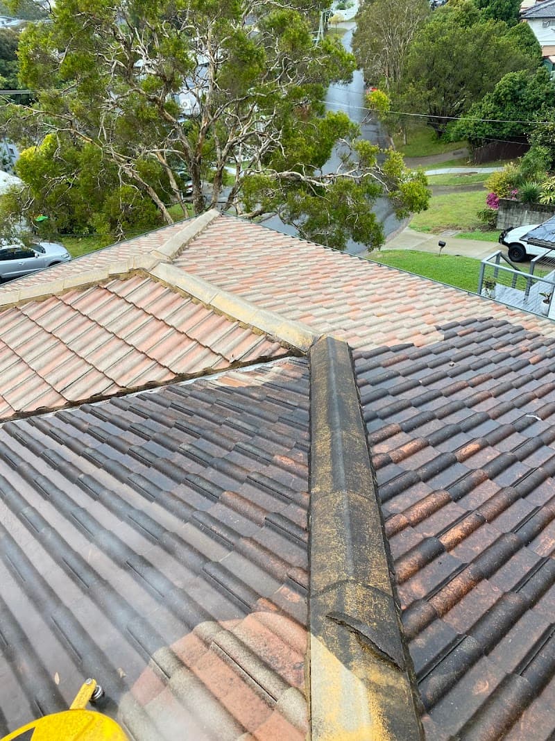 Sl Cleaning Services oven & bbq cleaning work in Logan Reserve
