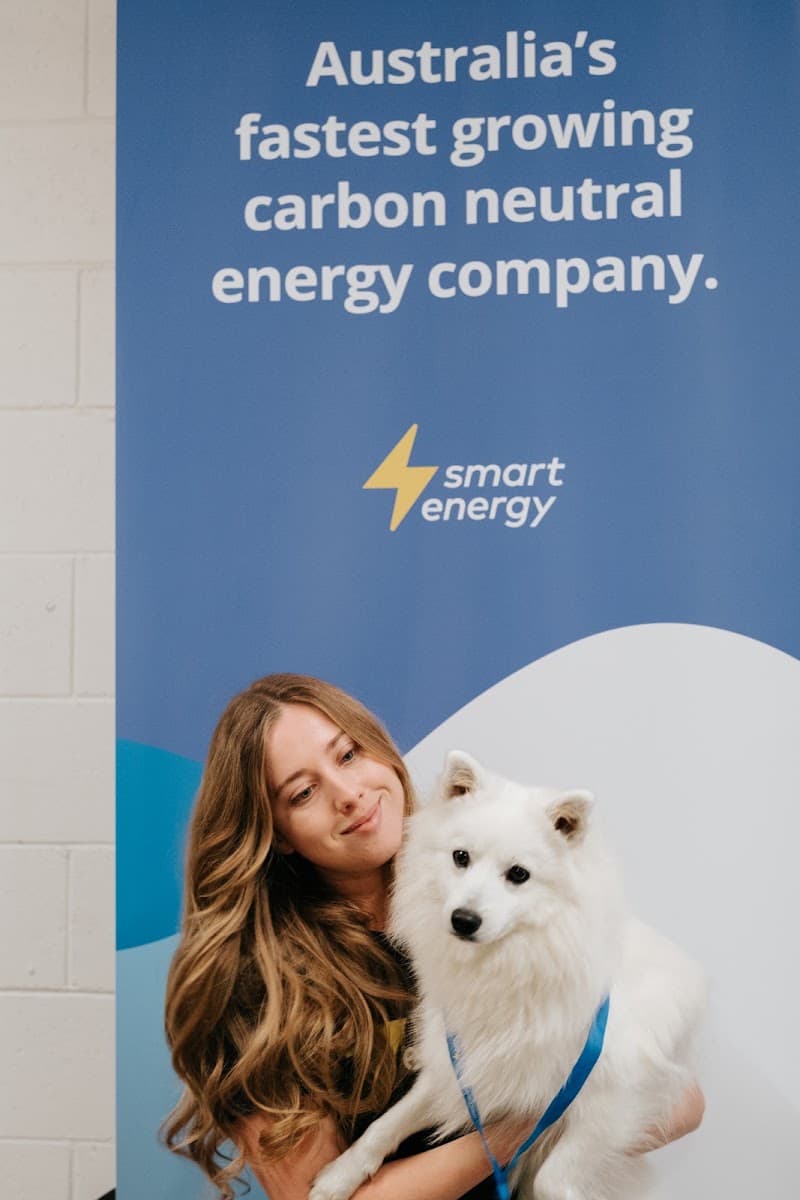 Smart Energy solar panel installation work in North Hobart