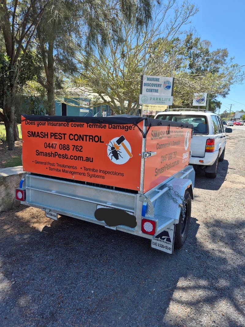 Smash Pest Control pest control work in Terrigal