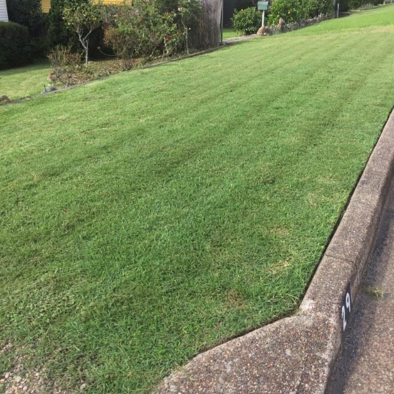 Snippits Lawn and Garden Care gardening work in Speers Point