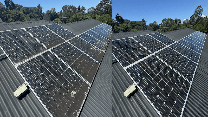 Solar Care Group Pty Ltd gutter cleaning work in Cabarita Beach