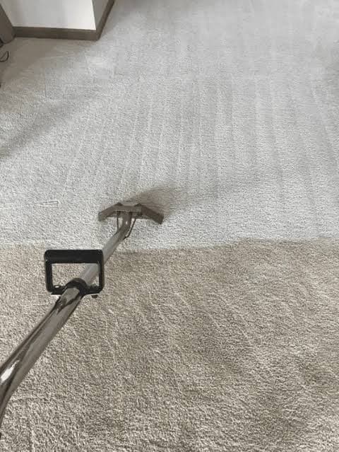 Sonic pro carpet and Upholstery cleanlage 3977 carpet cleaning work in Junction Village