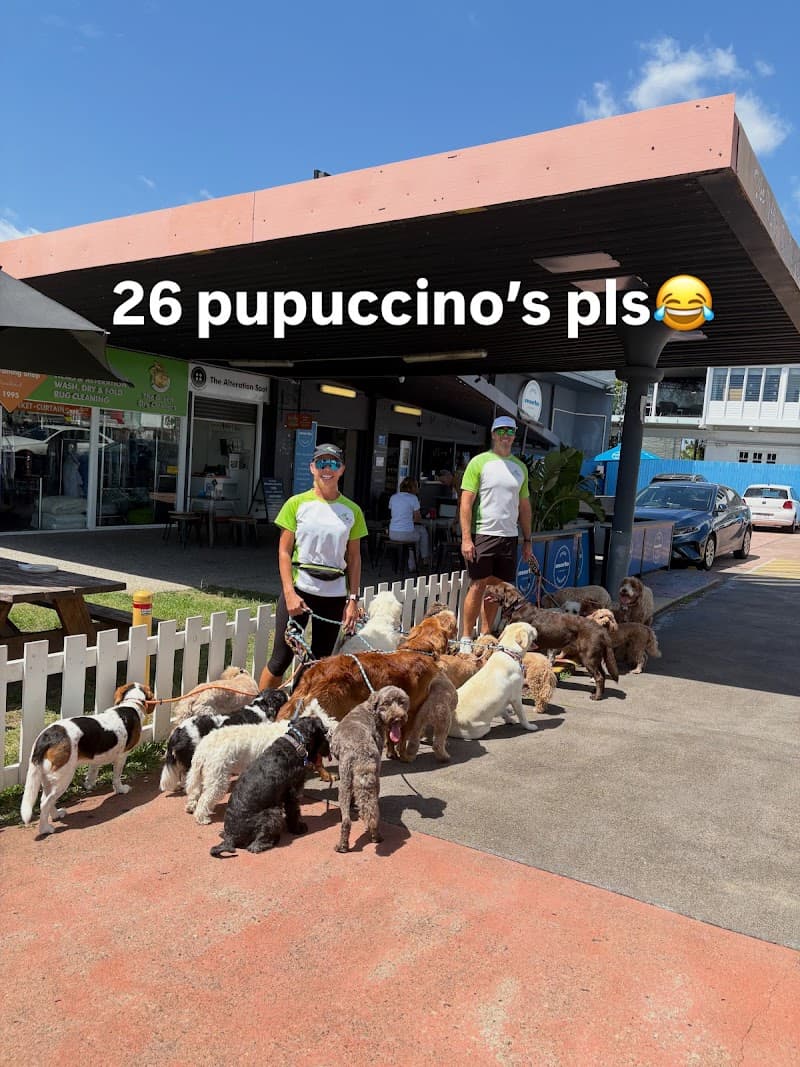 SOS Dogs dog training work in Paddington