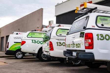 S.O.S Pest Control Australia pest control work in Braeside