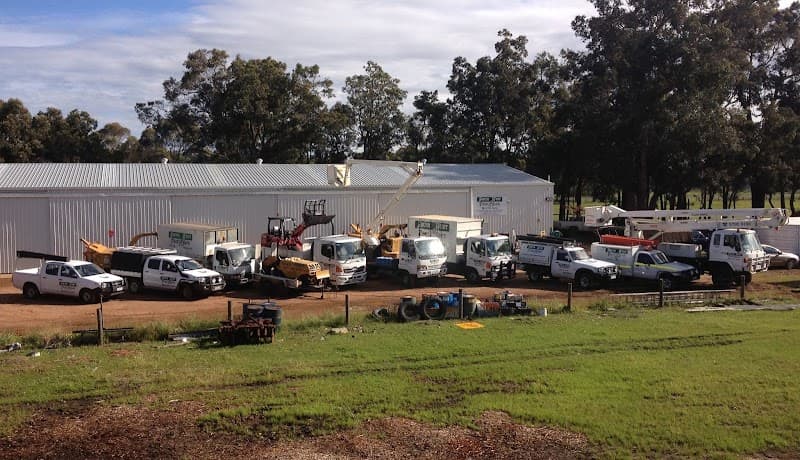 South West Treesafe tree services work in Stratham