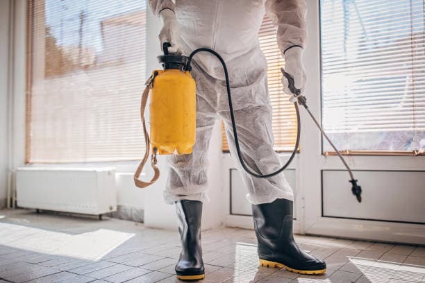 Southern Pest Management Services pest control work in Rye