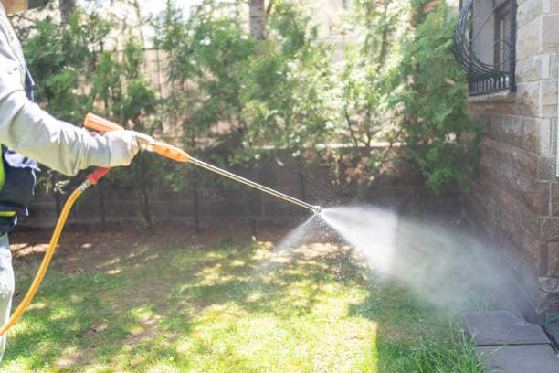 Southern Pest Management Services pest control work in Rye