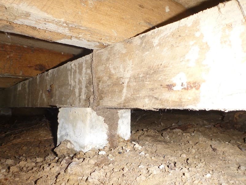 Southern Pest Management Services pest control work in Rye