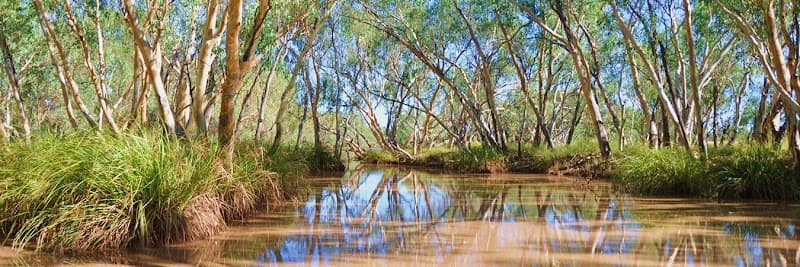 Southern Queensland Landscapes landscaping work in Toowoomba City