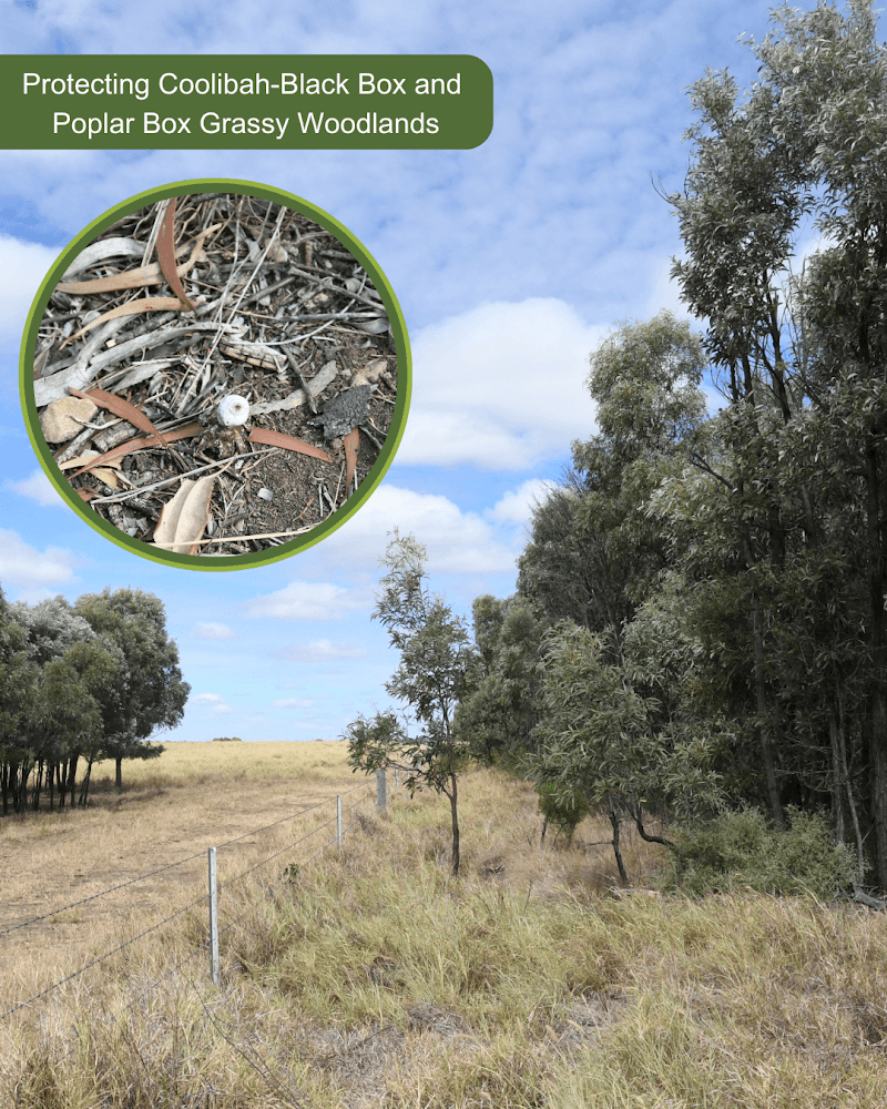 Southern Queensland Landscapes landscaping work in Toowoomba City
