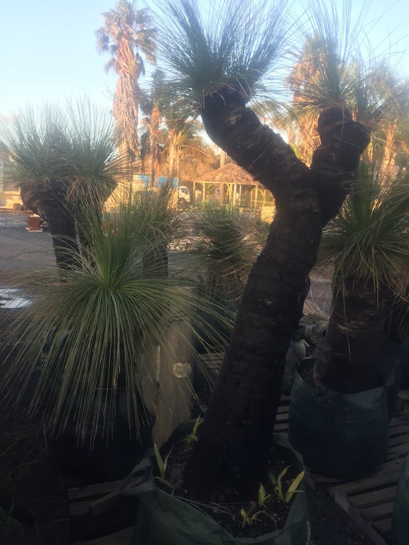 Southwest Creative Stone landscaping work in Bunbury