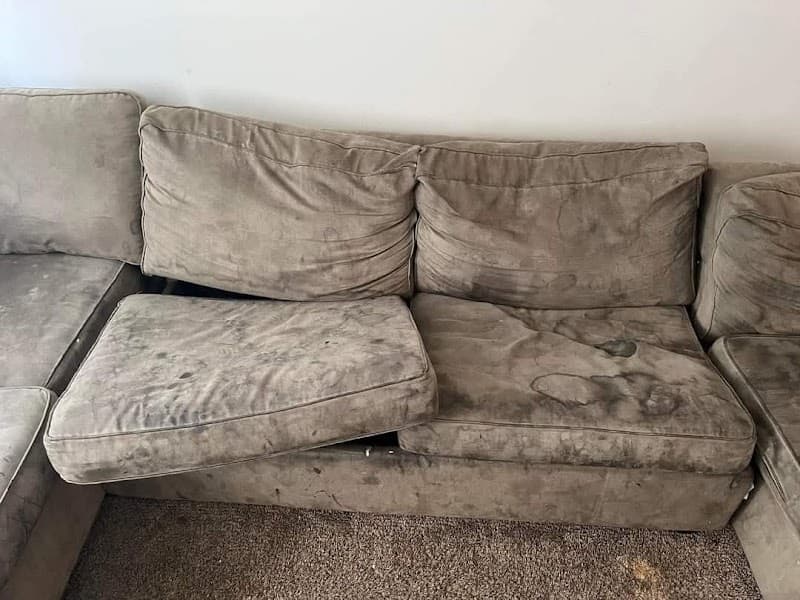 Sparkle Carpet Cleaning carpet cleaning work in Rothwell