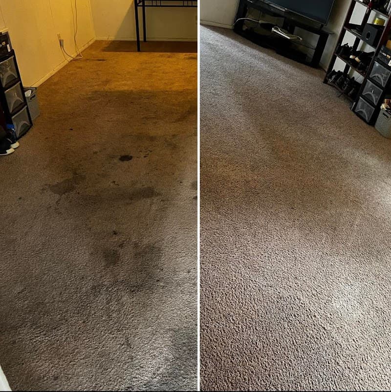 Sparkle Carpet Cleaning carpet cleaning work in Rothwell