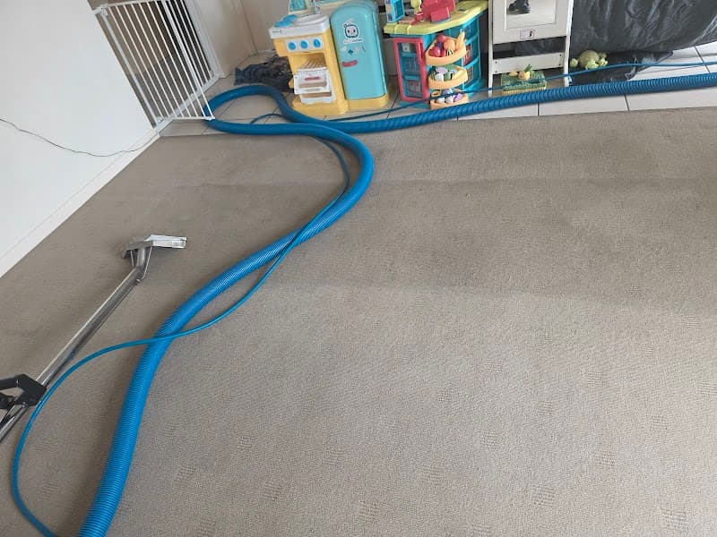 Sparkle Carpet Cleaning carpet cleaning work in Rothwell