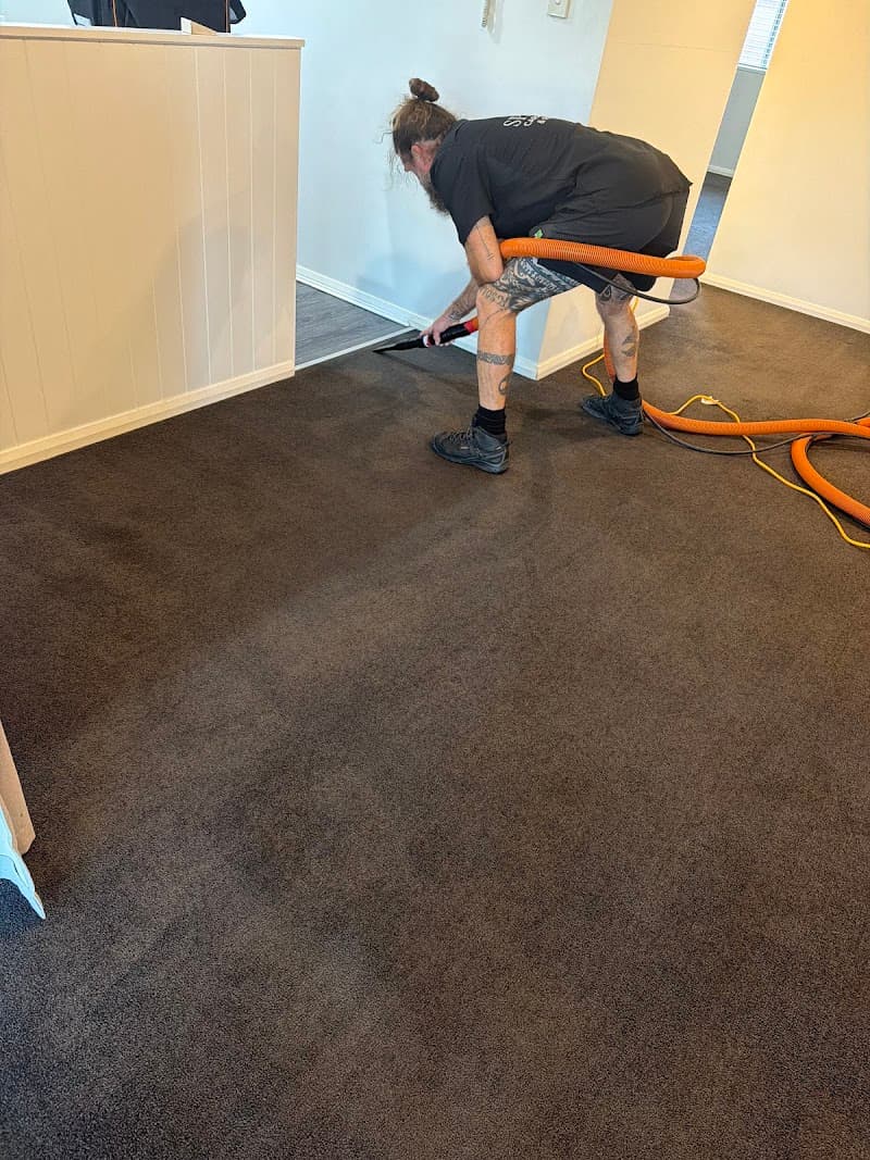 Spartan Carpet Cleaning carpet cleaning work in Hamilton
