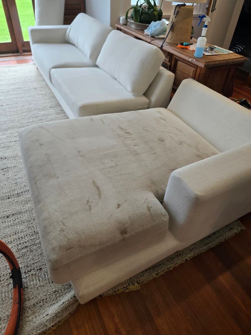 Spartan Carpet Cleaning carpet cleaning work in Hamilton