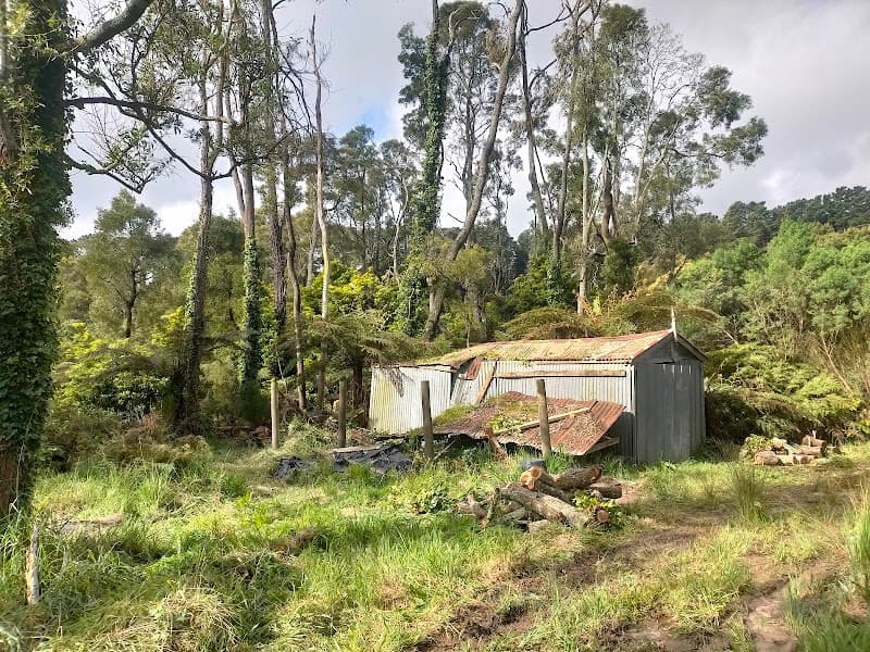 Spider Monkey Tree Worx tree services work in Dromana