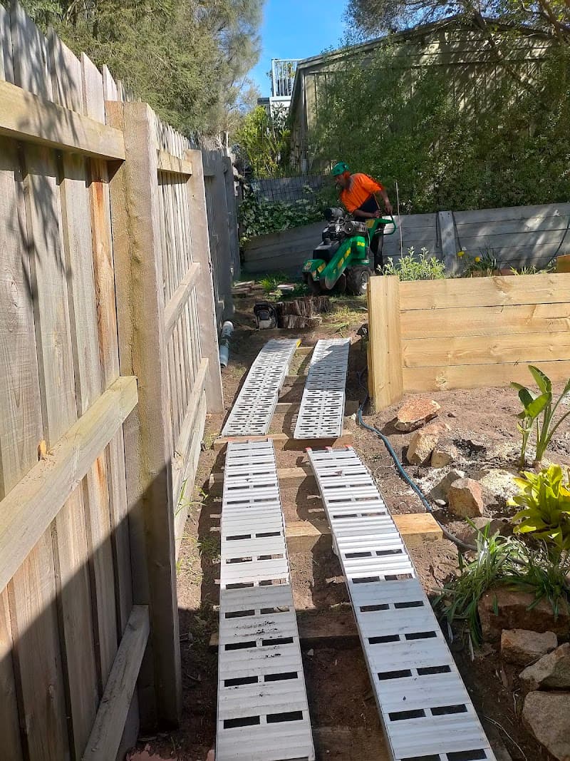 Spider Monkey Tree Worx tree services work in Dromana