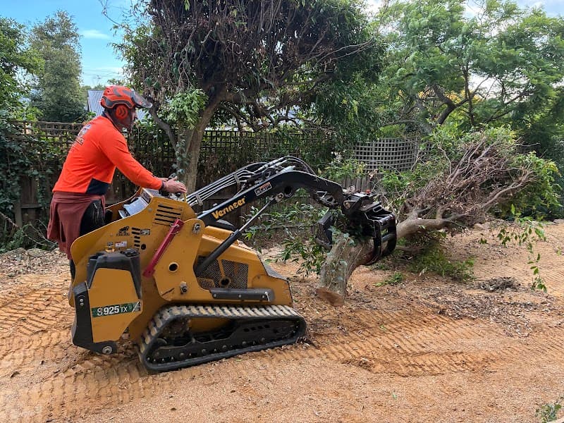 Spider Monkey Tree Worx tree services work in Dromana