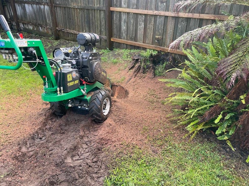 Spider Monkey Tree Worx tree services work in Dromana
