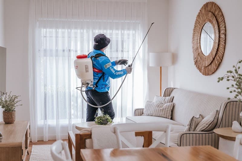 Spiderman SE Eco Pest Management pest control work in Mount Gambier