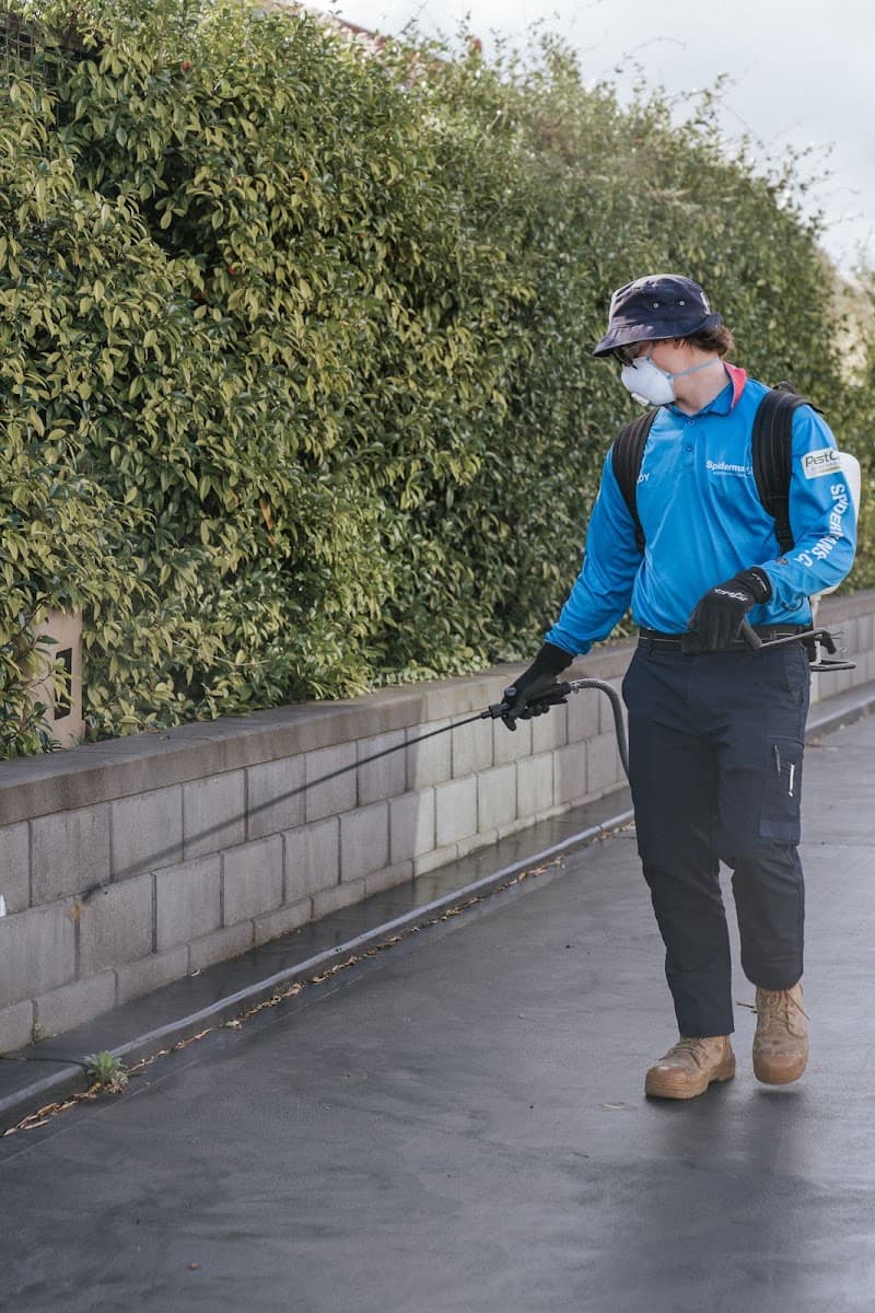 Spiderman SE Eco Pest Management pest control work in Mount Gambier