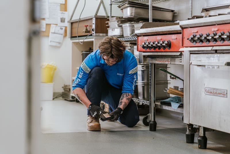 Spiderman SE Eco Pest Management pest control work in Mount Gambier