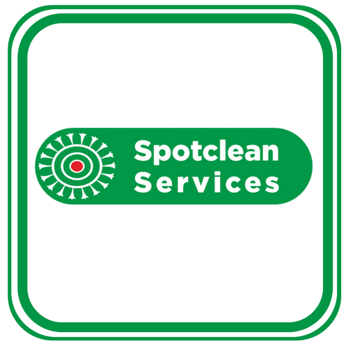Spotclean Services Pty Ltd. carpet cleaning work in Milton