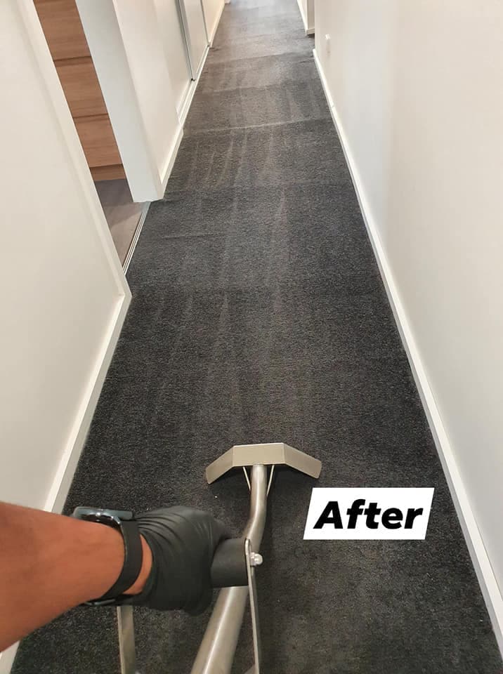 Spotless Carpet Cleaning and Restoration carpet cleaning work in Devonport