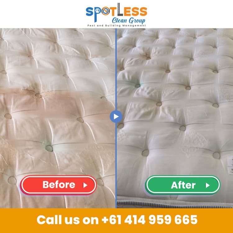 Spotless Clean Group carpet cleaning work in Franklin