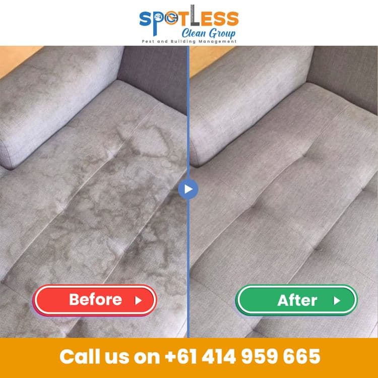 Spotless Clean Group carpet cleaning work in Franklin
