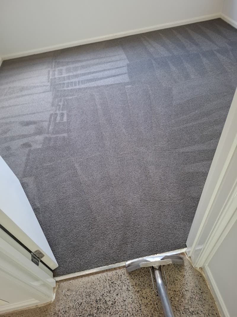 Spotless cleaner| Professional steam Carpet Cleaners Dandenong | Upholstery cleaners | Mattresses cleaners Dandenong carpet cleaning work in Dandenong