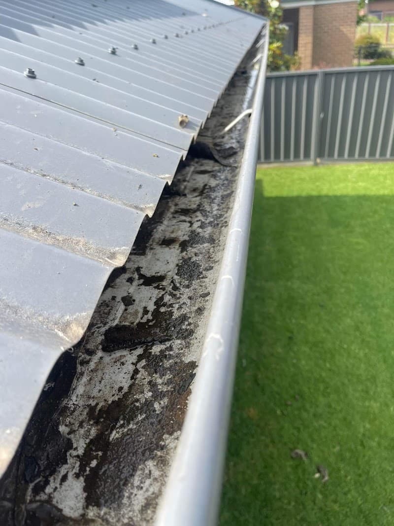 Spoutvac Plumbing and Vacuum Services gutter cleaning work in Lavington