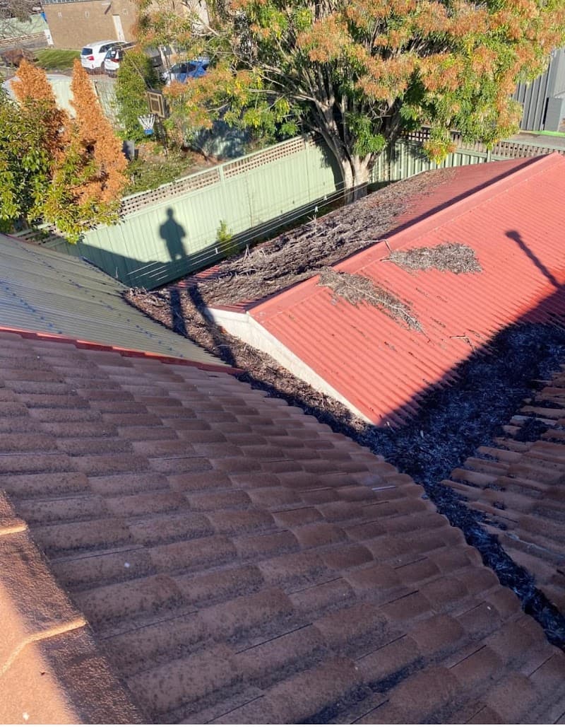 Spoutvac Plumbing and Vacuum Services gutter cleaning work in Lavington