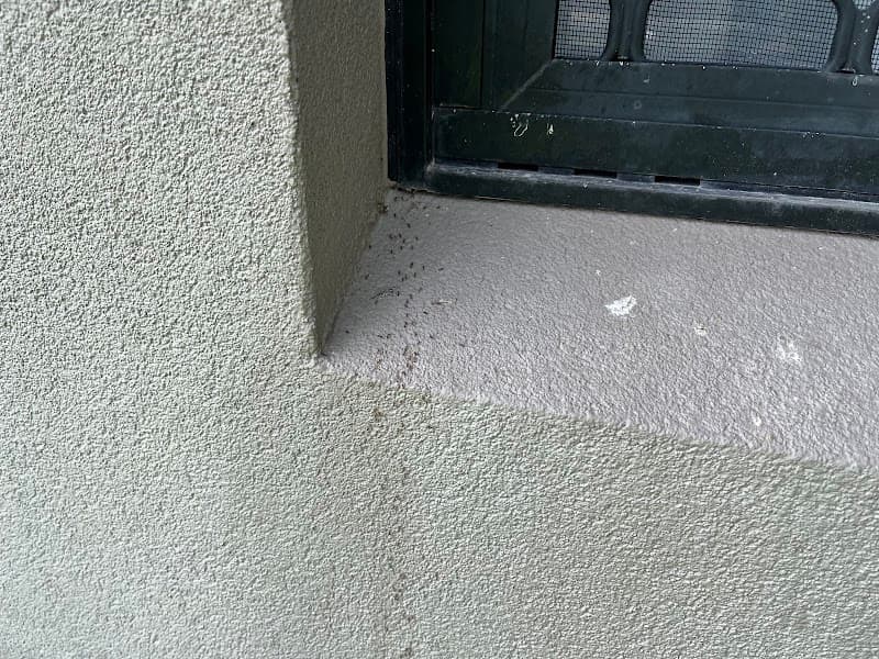 SR Pest Control - Cairns City pest control work in Earlville