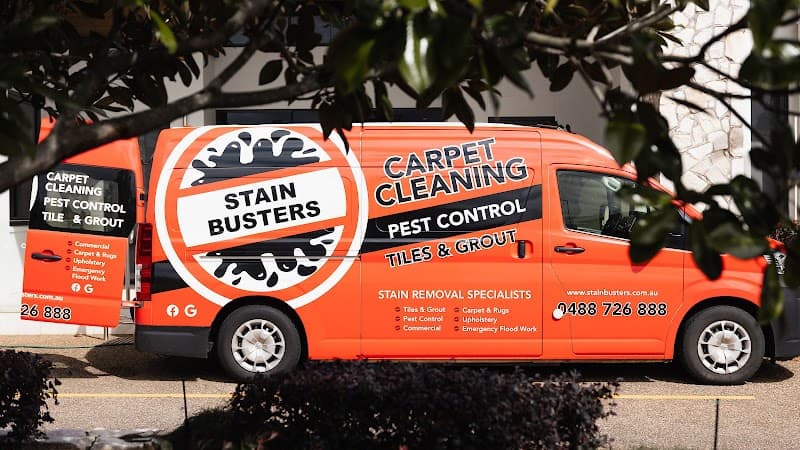 Stain Busters Toowoomba pest control work in Mount Lofty