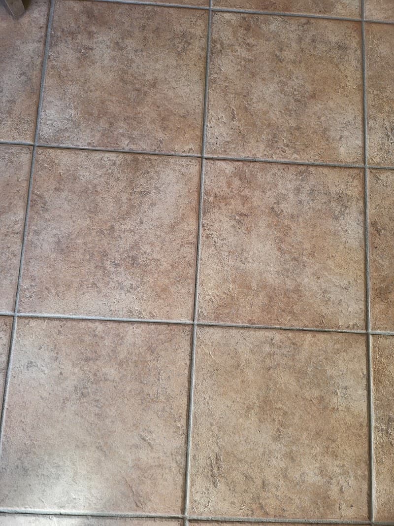 Stain Busters Toowoomba pest control work in Mount Lofty