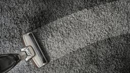 Stain Solutions Carpet Cleaning Gold Coast