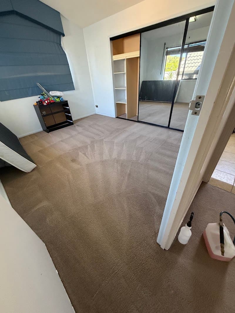 Stain Solutions Carpet Cleaning Gold Coast carpet cleaning work in Ashmore