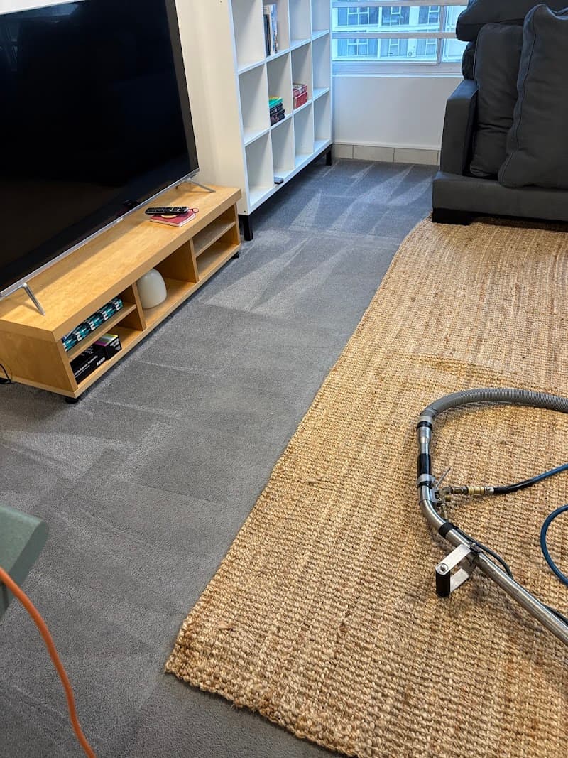 Stain Solutions Carpet Cleaning Gold Coast carpet cleaning work in Ashmore