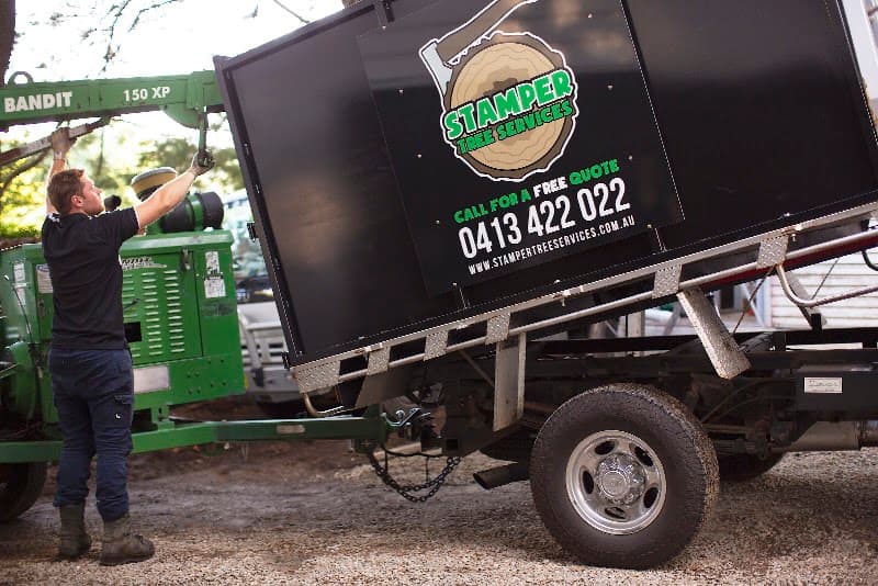 Stamper Tree Services tree services work in Leura