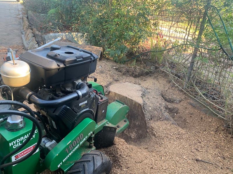 Stamper Tree Services tree services work in Leura